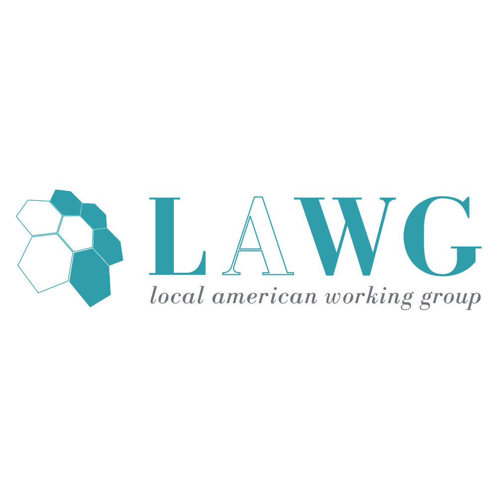 Prioritățile Local American Working Group – LAWG:  accesul la inovație și contribuția activă la modernizarea sistemului de sănătate din România